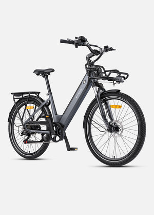 Cestino Anteriore P275 SE (Regalo gratuito con l'acquisto di una E-bike)